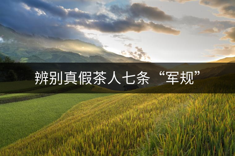 辨別真假茶人七條“軍規(guī)”