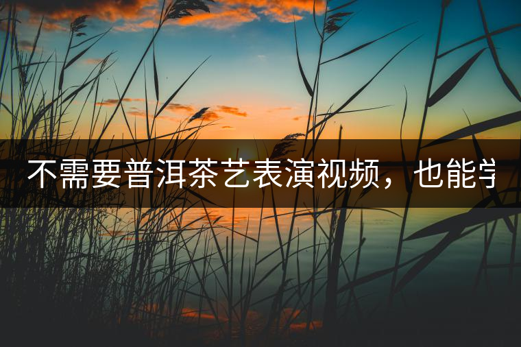 不需要普洱茶藝表演視頻，也能學(xué)會(huì)的茶藝！