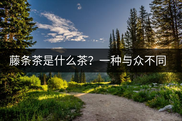 藤條茶是什么茶？一種與眾不同的普洱茶樹(shù)形態(tài)！