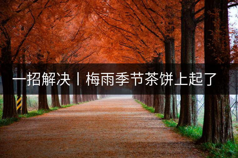 一招解決丨梅雨季節(jié)茶餅上起了白霜白點怎么辦？