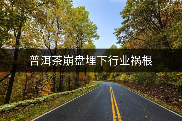 普洱茶崩盤(pán)埋下行業(yè)禍根