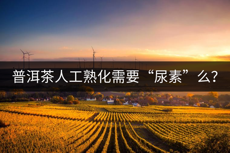 普洱茶人工熟化需要“尿素”么？