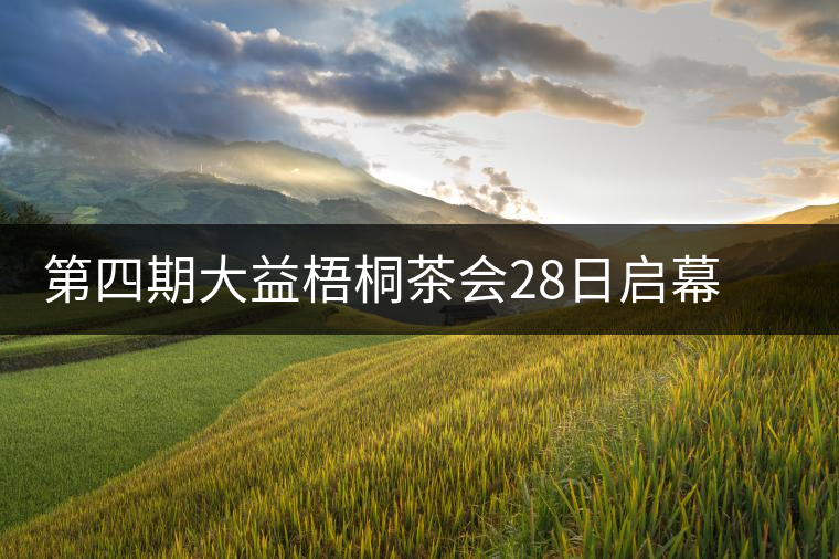 第四期大益梧桐茶會(huì)28日啟幕 益友共聚昆明植物園閑聊茶與禪