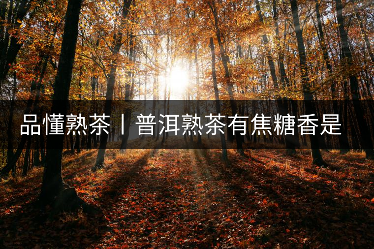 品懂熟茶丨普洱熟茶有焦糖香是好還是不好的表現(xiàn)？