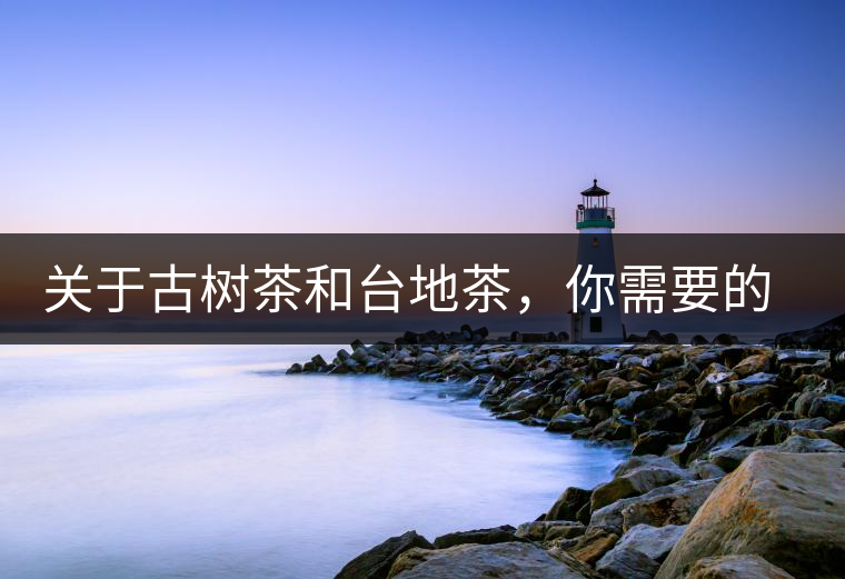 關(guān)于古樹茶和臺(tái)地茶，你需要的知識(shí)全在這里了