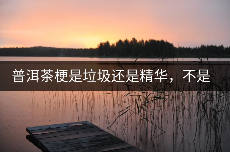 普洱茶梗是垃圾還是精華，不是一個(gè)人說(shuō)的算