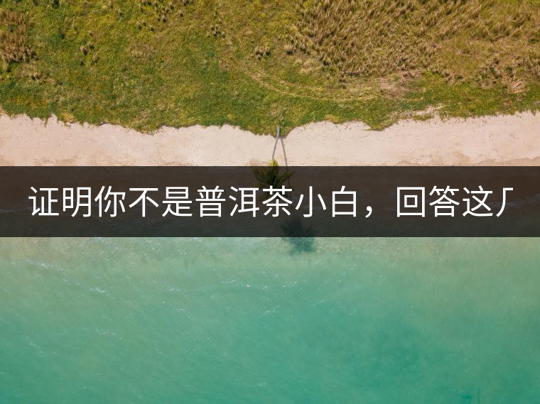 證明你不是普洱茶小白，回答這幾個問題先！