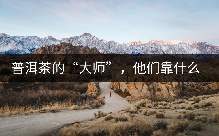 普洱茶的“大師”，他們靠什么來斷茶？