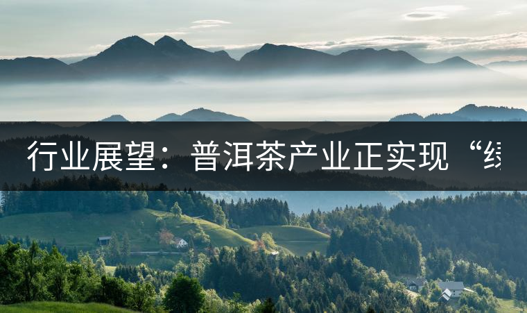 行業(yè)展望：普洱茶產(chǎn)業(yè)正實現(xiàn)“綠色崛起”