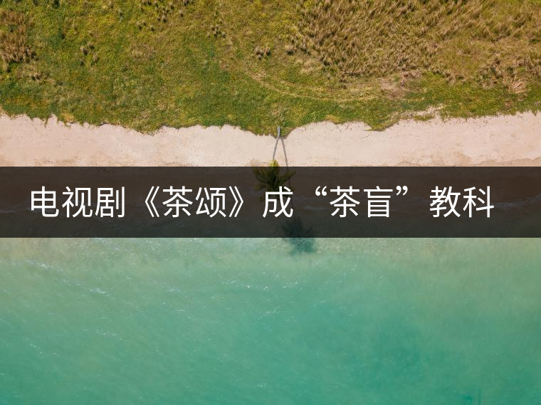 電視劇《茶頌》成“茶盲”教科書(shū)
