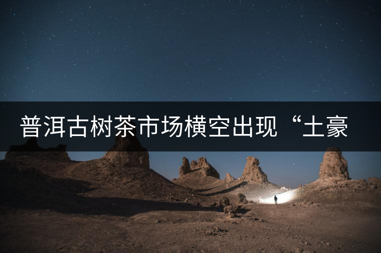 普洱古樹茶市場橫空出現(xiàn)“土豪”品牌 普洱古樹茶市場橫空出現(xiàn)“土豪”品牌