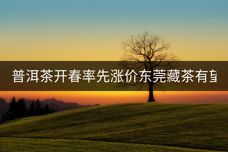 普洱茶開春率先漲價東莞藏茶有望“開倉” 普洱茶開春率先漲價東莞藏茶有望“開倉”