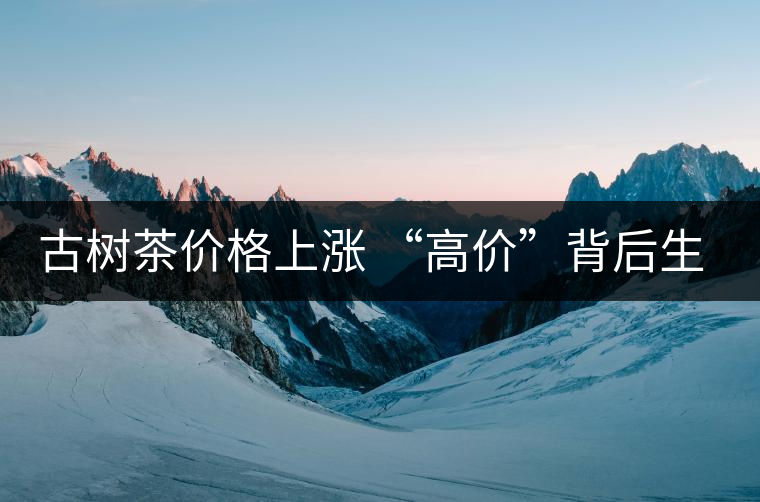 古樹茶價格上漲 “高價”背后生態(tài)環(huán)境令人擔(dān)憂