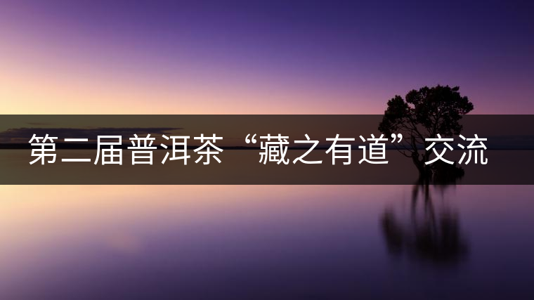 第二屆普洱茶“藏之有道”交流論壇在廣州成功舉行 第二屆普洱茶“藏之有道”交流論壇在廣州成功舉行