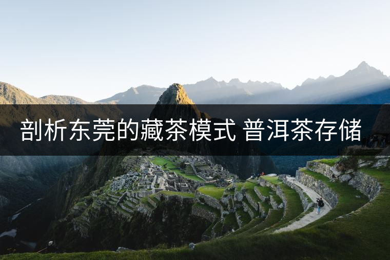 剖析東莞的藏茶模式 普洱茶存儲方法的三階段