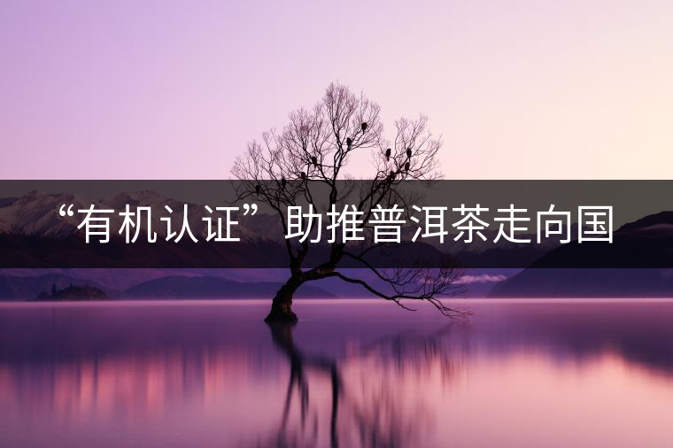 “有機認證”助推普洱茶走向國際