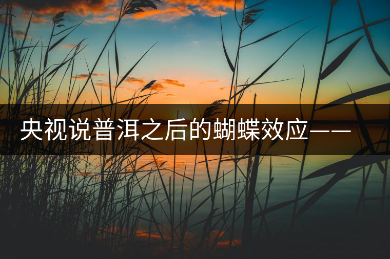 央視說普洱之后的蝴蝶效應(yīng)——過度開采會(huì)出現(xiàn)“死循環(huán)”？