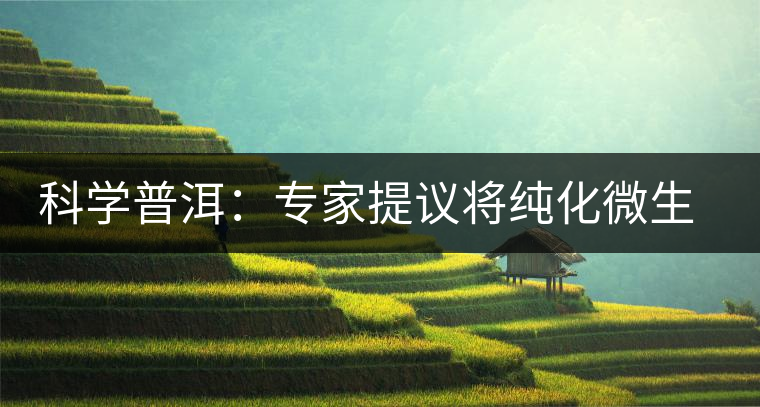 科學(xué)普洱：專家提議將純化微生物種應(yīng)用于普洱茶生產(chǎn)