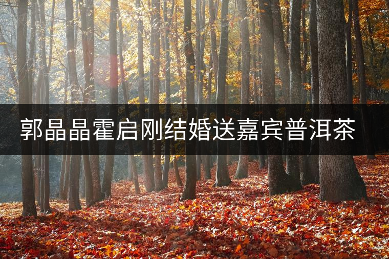 郭晶晶霍啟剛結婚送嘉賓普洱茶當禮物 郭晶晶霍啟剛結婚送嘉賓普洱茶當禮物