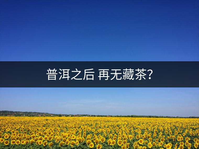 普洱之后 再無(wú)藏茶？