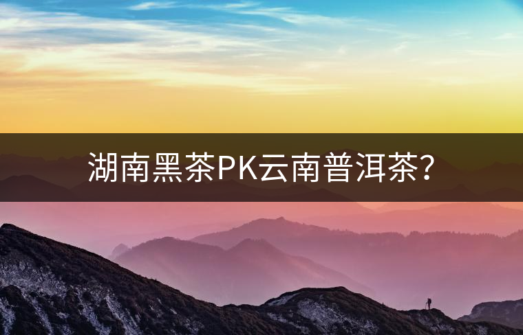 湖南黑茶PK云南普洱茶？