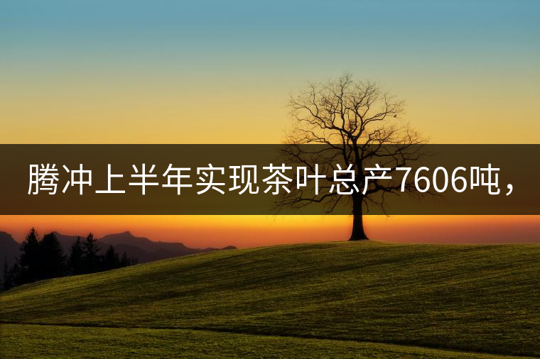 騰沖上半年實現(xiàn)茶葉總產(chǎn)7606噸，總產(chǎn)值5.58億元