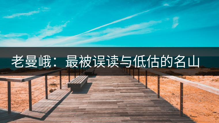 老曼峨:最被誤讀與低估的名山茶 老曼峨:最被誤讀與低估的名山茶