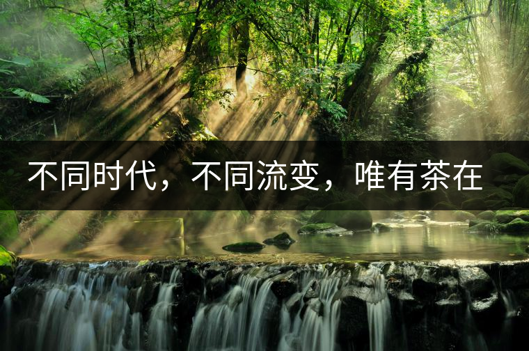 不同時(shí)代，不同流變，唯有茶在傳承