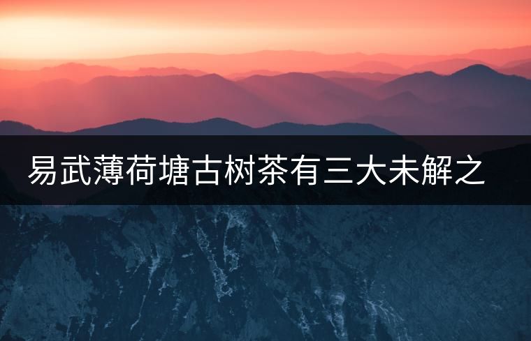 易武薄荷塘古樹茶有三大未解之謎 易武薄荷塘古樹茶有三大未解之謎