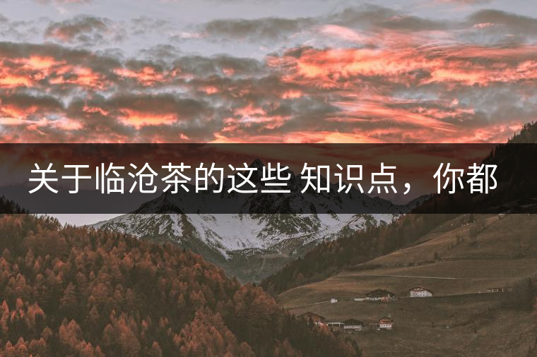 關(guān)于臨滄茶的這些 知識點(diǎn)，你都知道嗎？