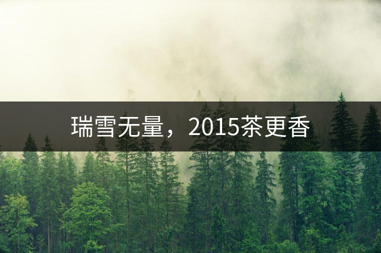 瑞雪無(wú)量，2015茶更香
