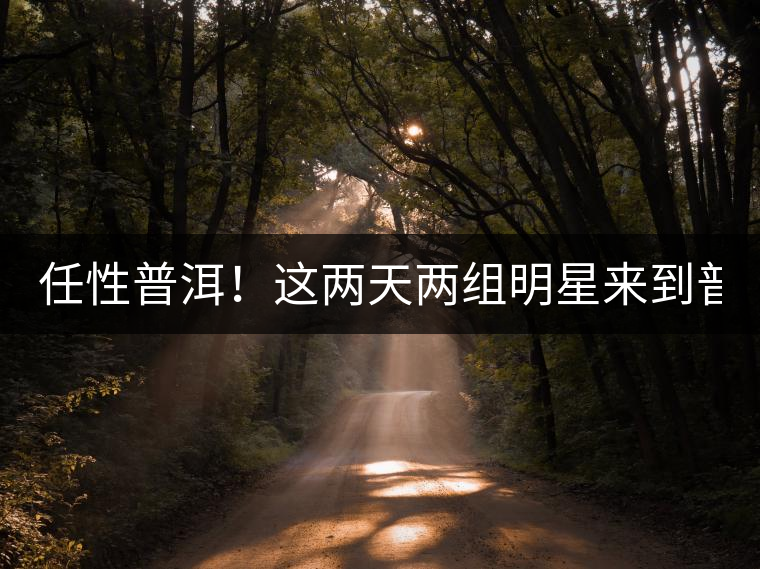 任性普洱！這兩天兩組明星來(lái)到普洱！