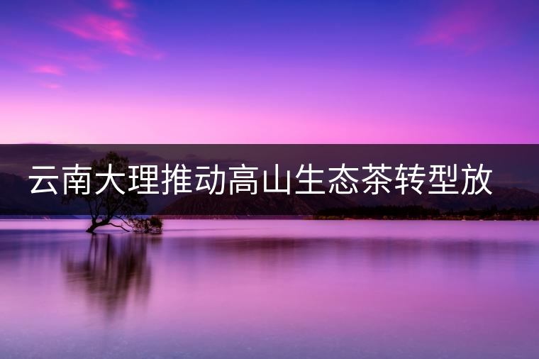 云南大理推動(dòng)高山生態(tài)茶轉(zhuǎn)型放大產(chǎn)業(yè)優(yōu)勢(shì) 云南大理推動(dòng)高山生態(tài)茶轉(zhuǎn)型放大產(chǎn)業(yè)優(yōu)勢(shì)