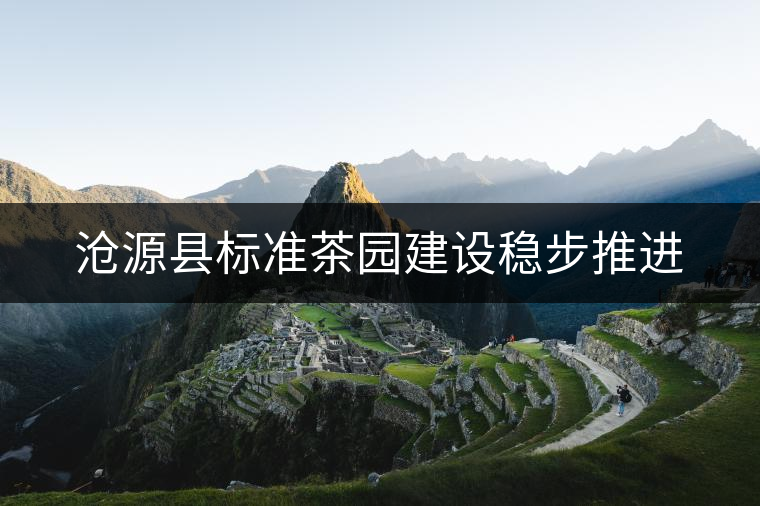 滄源縣標準茶園建設(shè)穩(wěn)步推進 滄源縣標準茶園建設(shè)穩(wěn)步推進