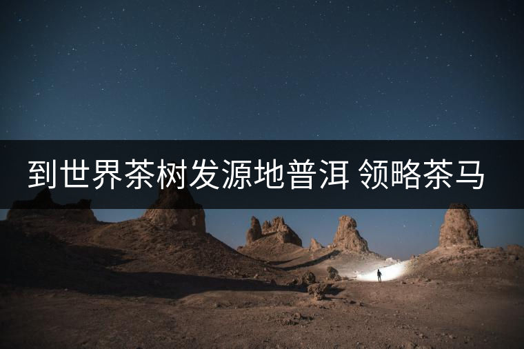 到世界茶樹發(fā)源地普洱 領略茶馬古道獨特魅力