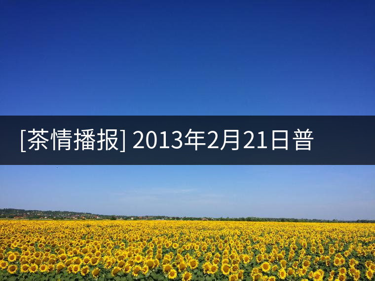 [茶情播報] 2013年2月21日普洱茶山情況