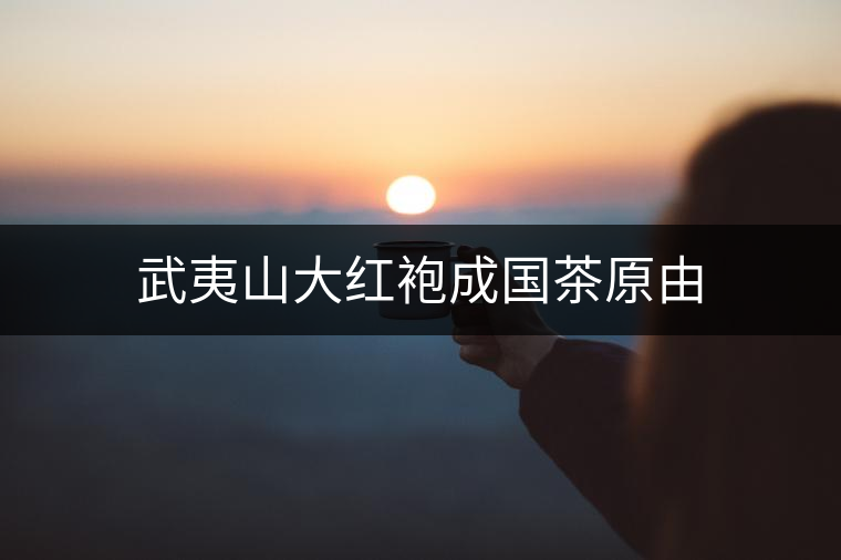 武夷山大紅袍成國茶原由 武夷山大紅袍成國茶原由