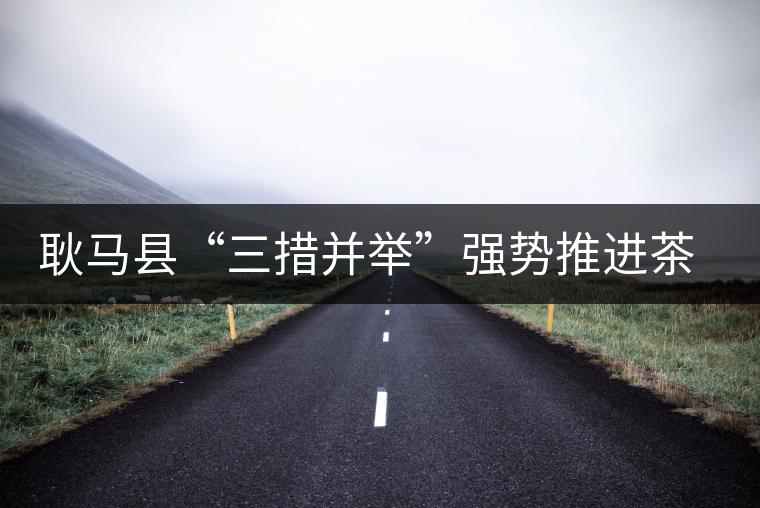 耿馬縣“三措并舉”強勢推進茶葉產(chǎn)業(yè)的發(fā)展