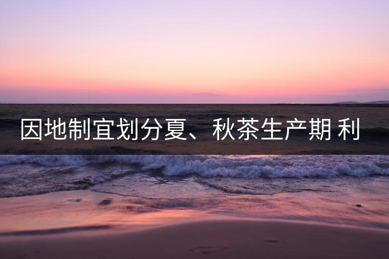因地制宜劃分夏、秋茶生產(chǎn)期 利于采摘品質(zhì) 因地制宜劃分夏、秋茶生產(chǎn)期 利于采摘品質(zhì)