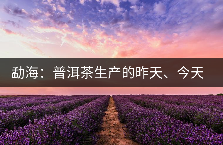 勐海：普洱茶生產(chǎn)的昨天、今天、明天