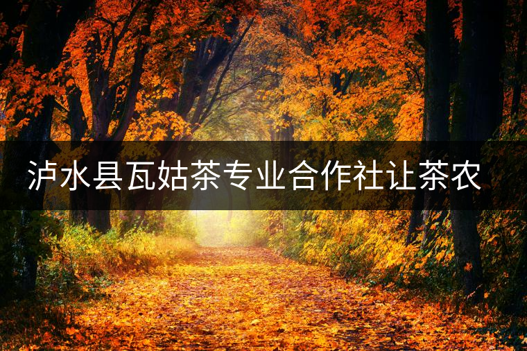 瀘水縣瓦姑茶專(zhuān)業(yè)合作社讓茶農(nóng)走上致富路