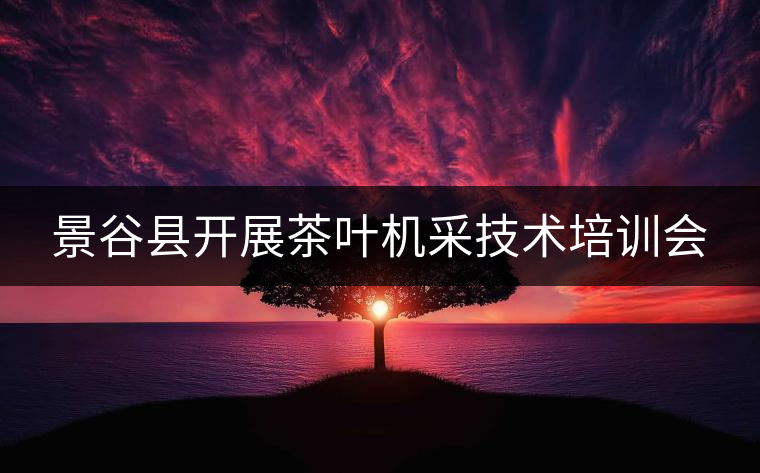 景谷縣開(kāi)展茶葉機(jī)采技術(shù)培訓(xùn)會(huì)