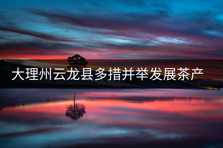 大理州云龍縣多措并舉發(fā)展茶產(chǎn)業(yè) 大理州云龍縣多措并舉發(fā)展茶產(chǎn)業(yè)