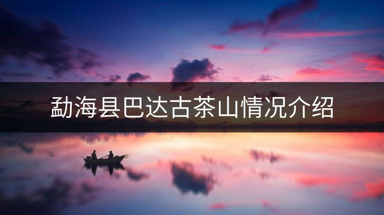 勐?？h巴達古茶山情況介紹