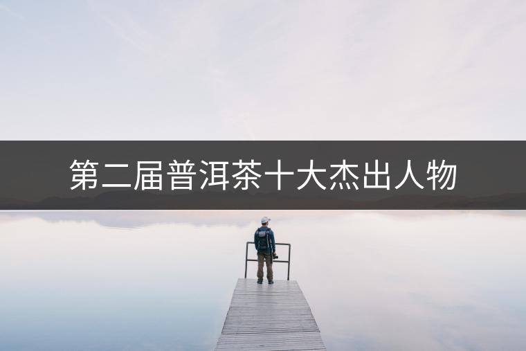 第二屆普洱茶十大杰出人物 第二屆普洱茶十大杰出人物
