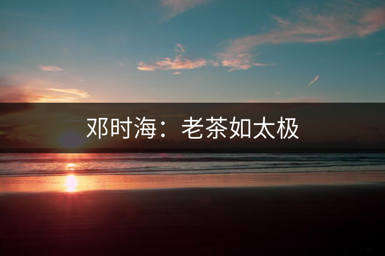 鄧時海:老茶如太極 鄧時海:老茶如太極