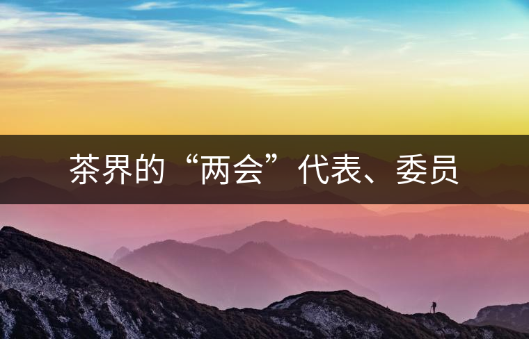 茶界的“兩會(huì)”代表、委員