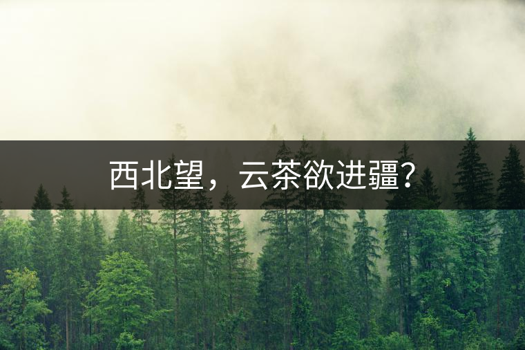 西北望，云茶欲進疆？