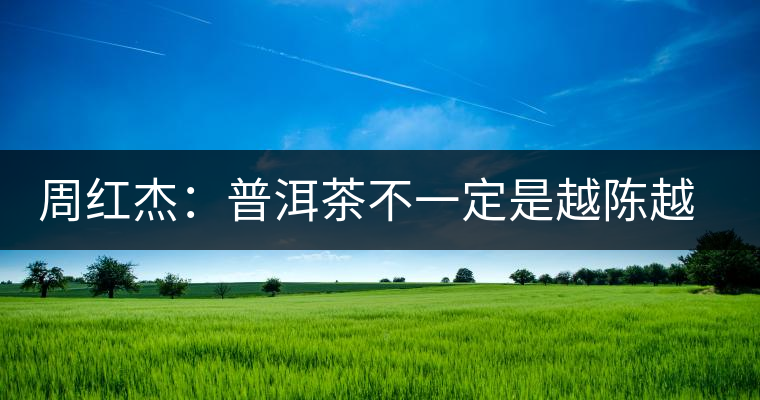 周紅杰：普洱茶不一定是越陳越香、越陳越好