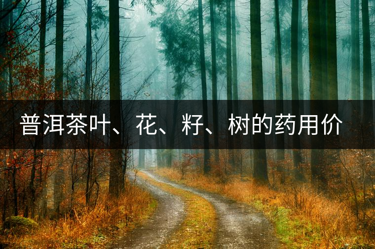 普洱茶葉、花、籽、樹的藥用價(jià)值